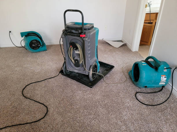 Reliable Moody Af, GA Water damage restoration Solutions