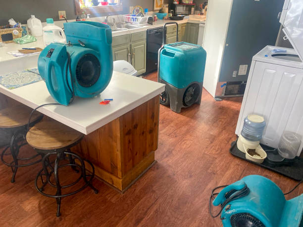 Best 24-hour water damage restoration  in Moody Af, GA
