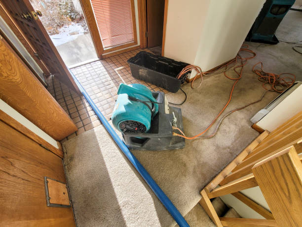 Best Flood restoration services  in Moody Af, GA