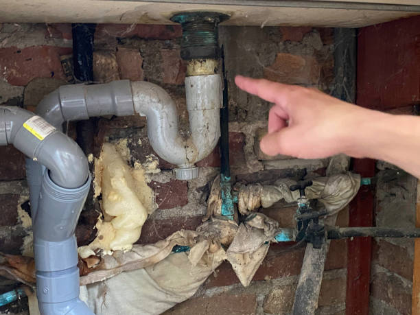 Best Water damage restoration near me  in Moody Af, GA