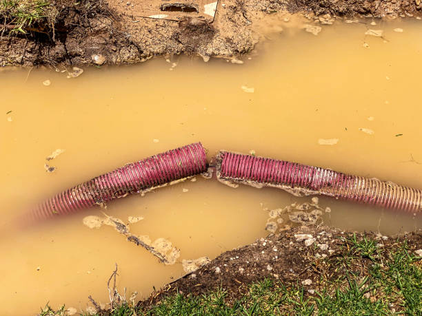 Best Emergency water damage restoration  in Moody Af, GA